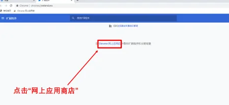 《谷歌浏览器》进入谷歌商店的操作方法