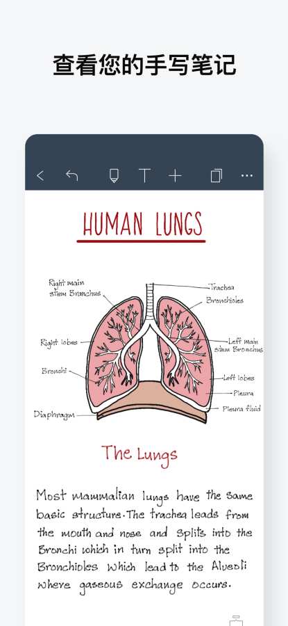 Noteshelf（手写笔记）