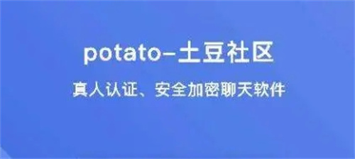 土豆聊天potato chat