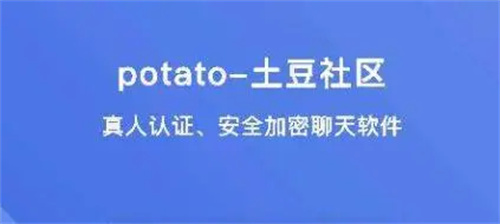 potato