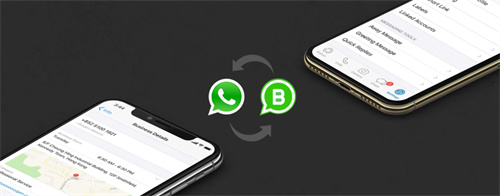 whatsappbusiness官方网下载