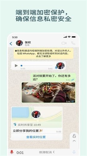 whats中文版下载