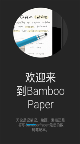 bamboo paper