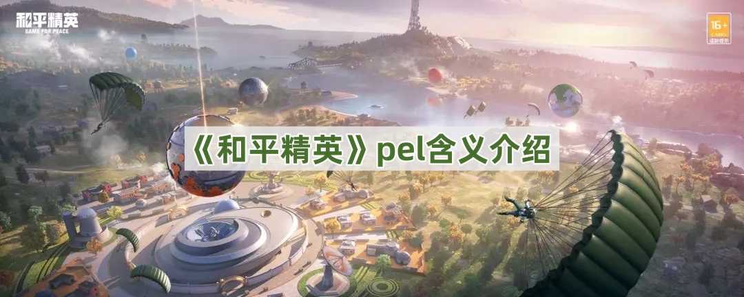 《和平精英》pel含义介绍(和平精英pel职业联赛)