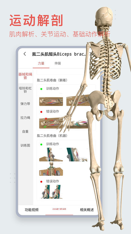 3dbody解剖软件手机版