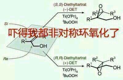 文科生大战理科生表情包完整版