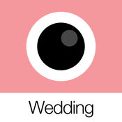 Analog Wedding (模拟婚礼)汉化版