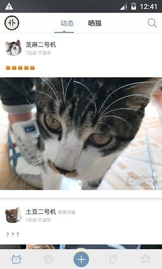 喵吾(养猫社区)