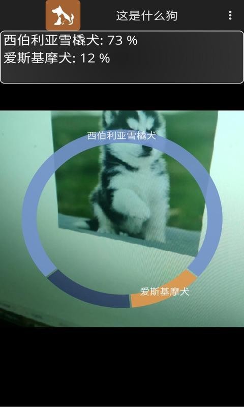 这是什么狗最新版