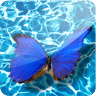 3D Butterfly III官方版