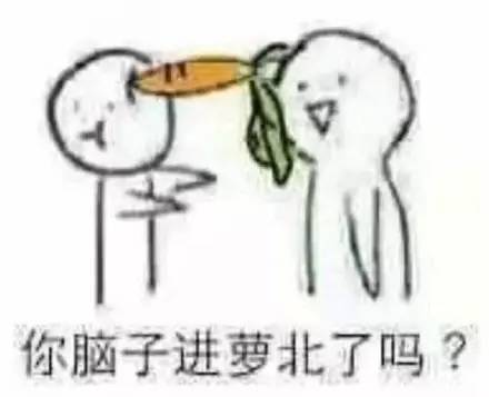 你脑子进萝北了吗表情包安全版