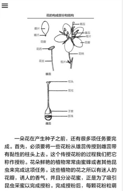 野外植物识别手册汉化版