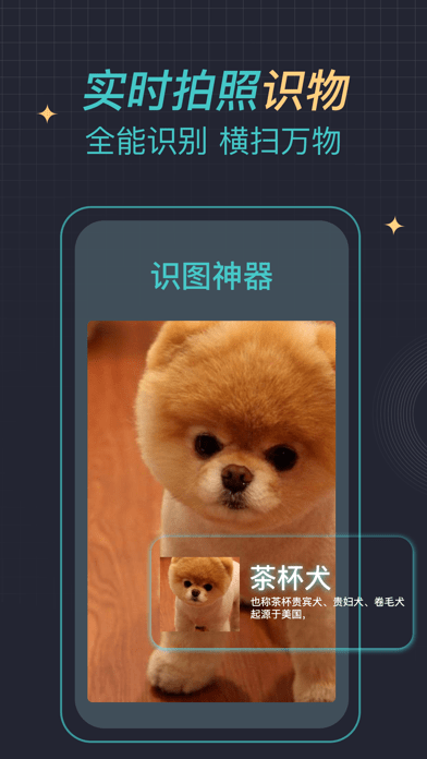 识图神器最新版本
