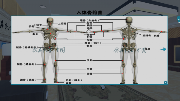 老年护理正版