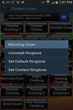 Chicken Tones手机版