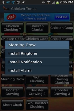 Chicken Tones手机版