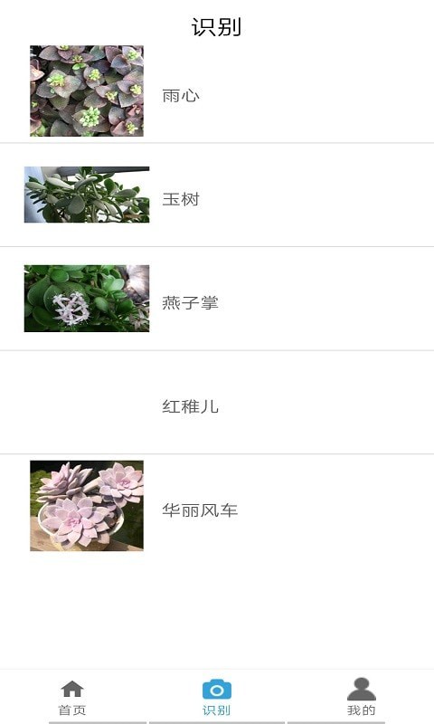 桃桃识植物精简版