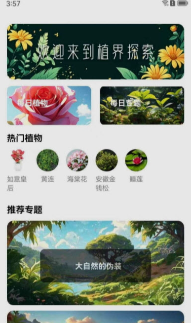 植界探索最新版