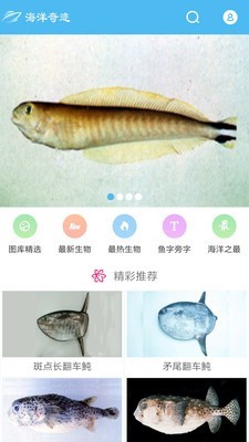 海洋奇迹游戏