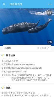 海洋奇迹游戏