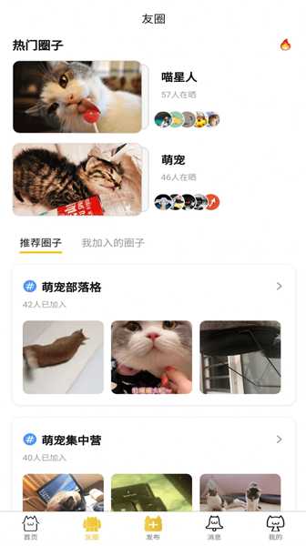 友猫社区手机版正版