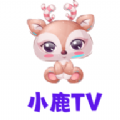 小鹿tv正版