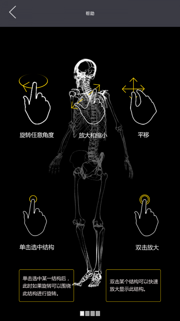 3Dbody解剖互通版