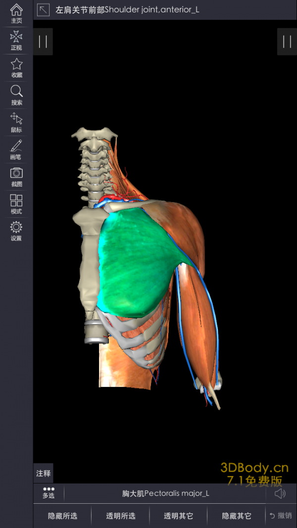 3Dbody解剖互通版