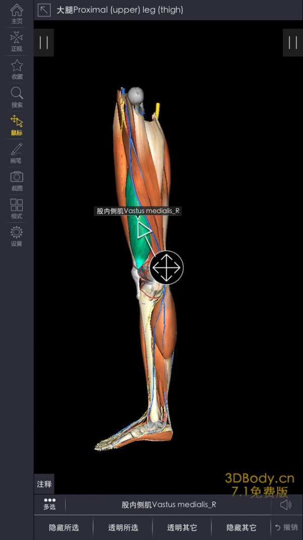 3Dbody解剖互通版