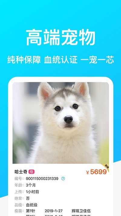 Dog Breeds狗品种免费版