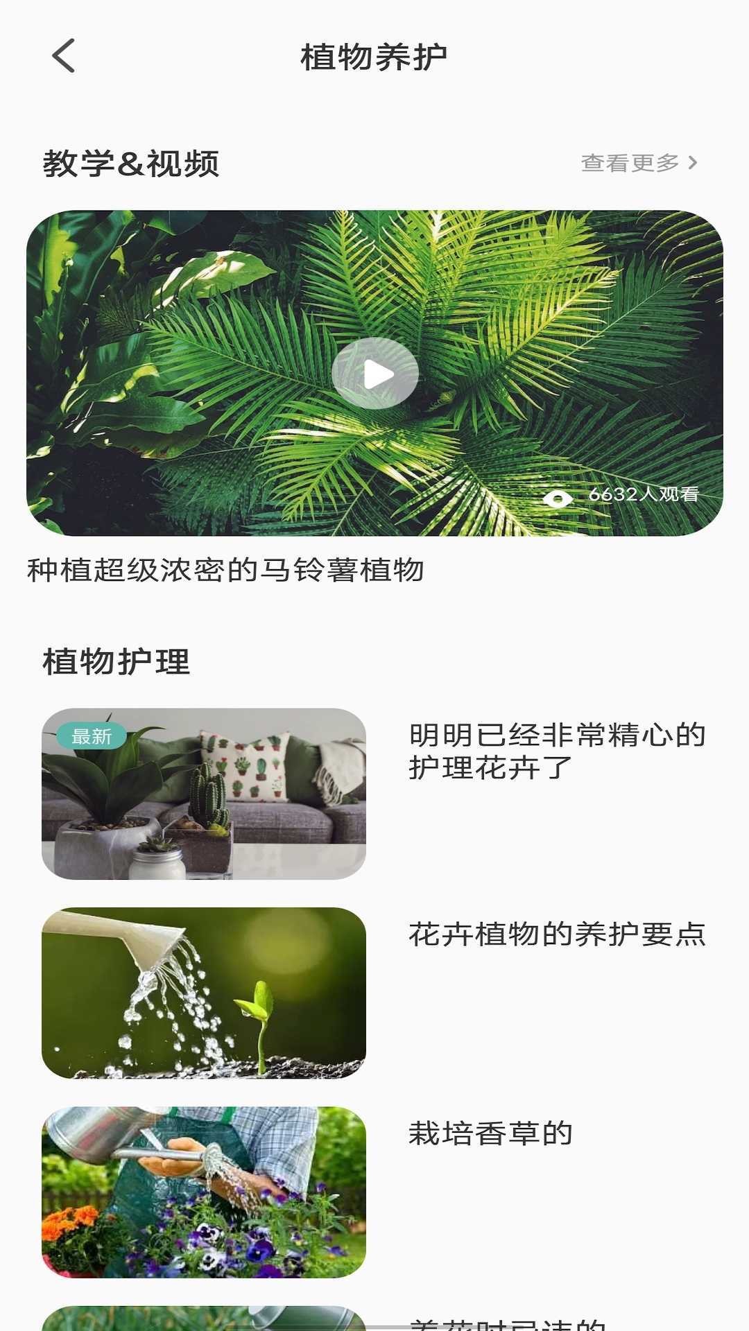 拍照识别植物弛意版中文版