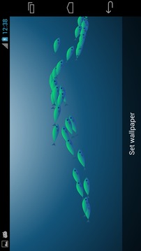 Fish Galore Free移动版