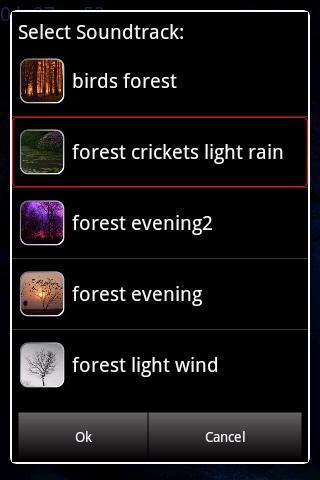 Forest会员版app