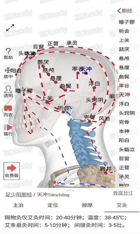 3Dbody经络穴位最新