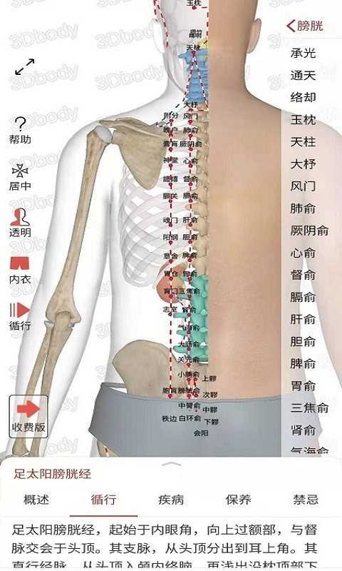 3Dbody经络穴位最新