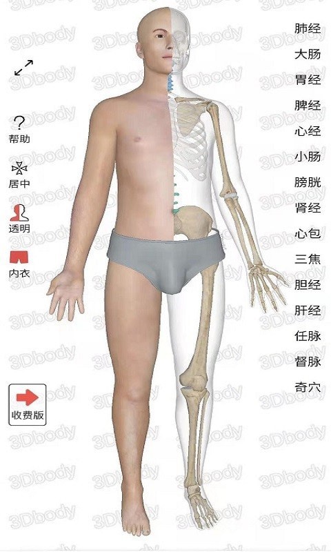 3Dbody经络穴位最新