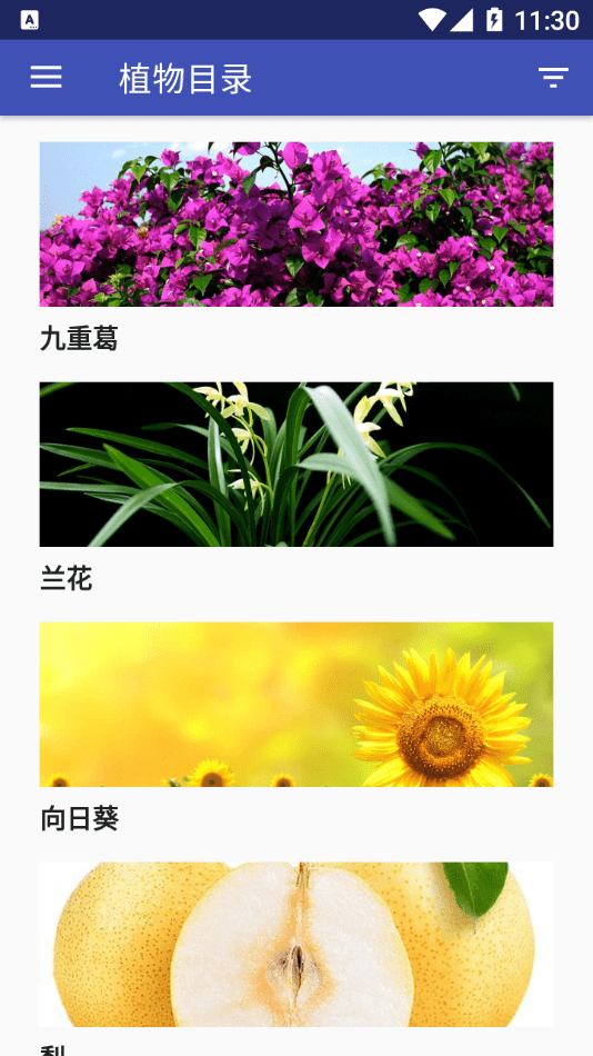 myflower移动版