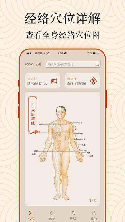 ai经络穴位图移动版