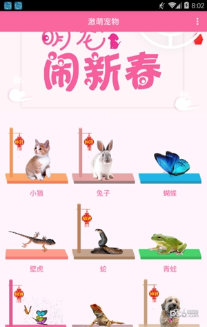 激萌猫咪桌面宠物