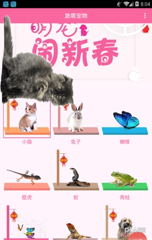 激萌猫咪桌面宠物