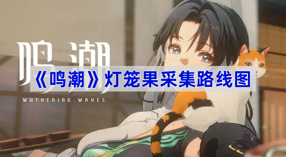 《鸣潮》灯笼果采集路线图