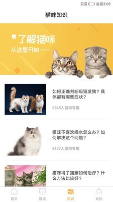 猫咪翻译器移动版