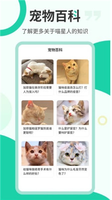 猫语翻译机