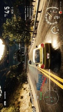 3D Need For Speed Rivals中文版