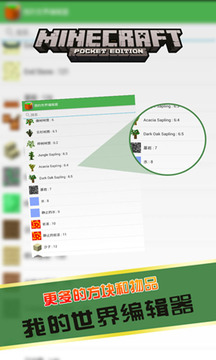 我的世界编辑器官方下载