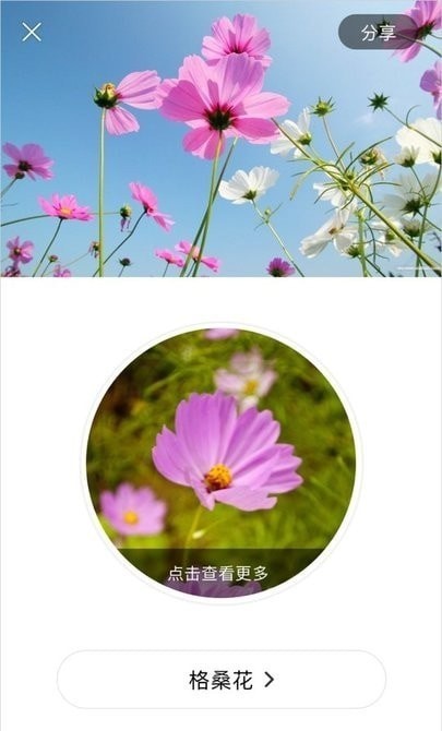 最全识花大师游戏