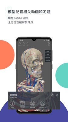 CoolMed（医学精准人体模型）官方下载