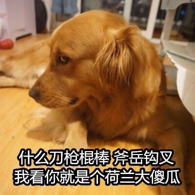 社会你黄哥狗狠话不多表情包