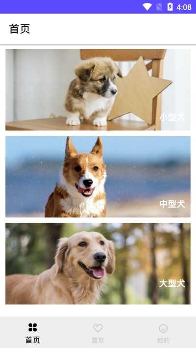 狗狗图鉴最新