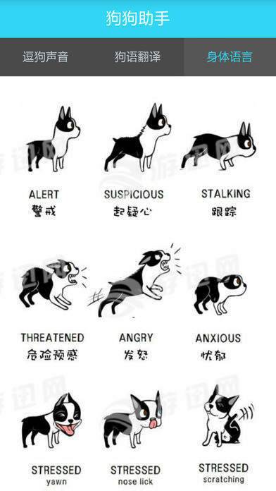 狗狗助手中文版最新版